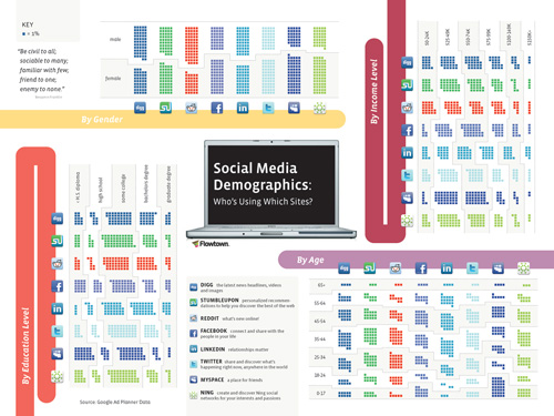 Popular Site Demographics 55 Interesting Social Media Infographics