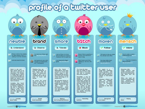 Profiles of a Twitter User 55 Interesting Social Media Infographics