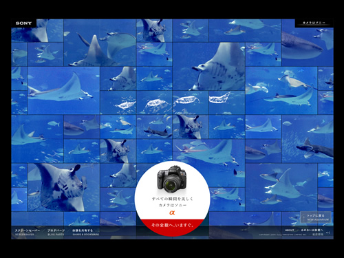 Sony Aquarium 60 Creative Flash Websites You Should Not Miss