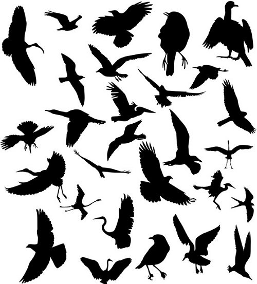 birds 03 85 Free High Quality Silhouette Sets