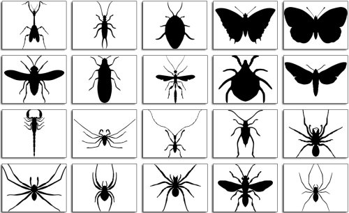 bugs 85 Free High Quality Silhouette Sets