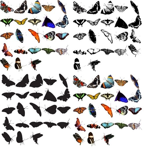 butterflies 85 Free High Quality Silhouette Sets