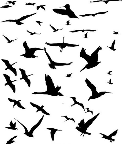 flying birds 85 Free High Quality Silhouette Sets