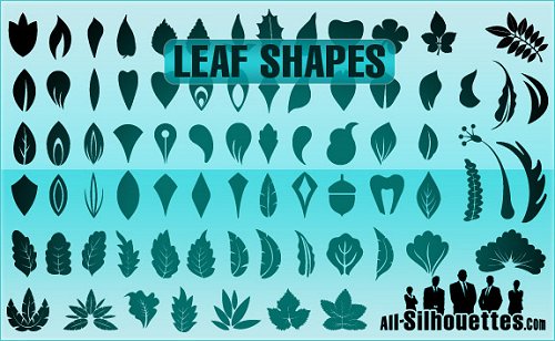 leaf shapes 85 Free High Quality Silhouette Sets