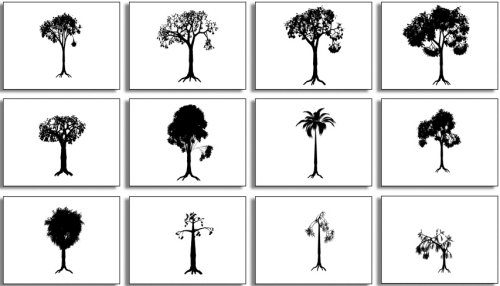 live trees 85 Free High Quality Silhouette Sets