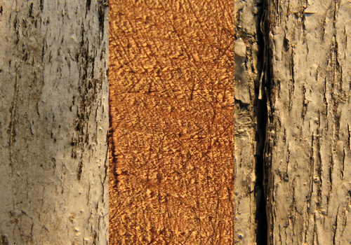 old wood 28 High Resolution Wood Textures For Designers